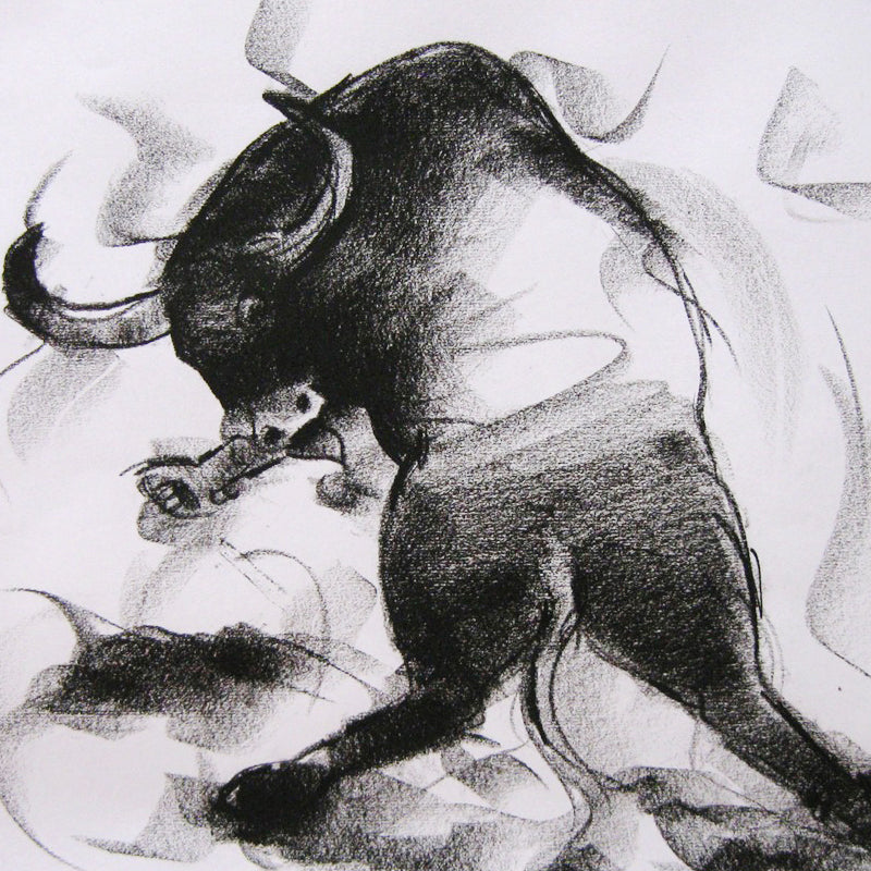 Bull Drawing-006