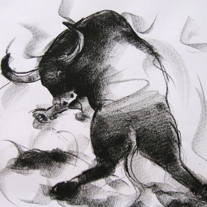 Bull Drawing-006