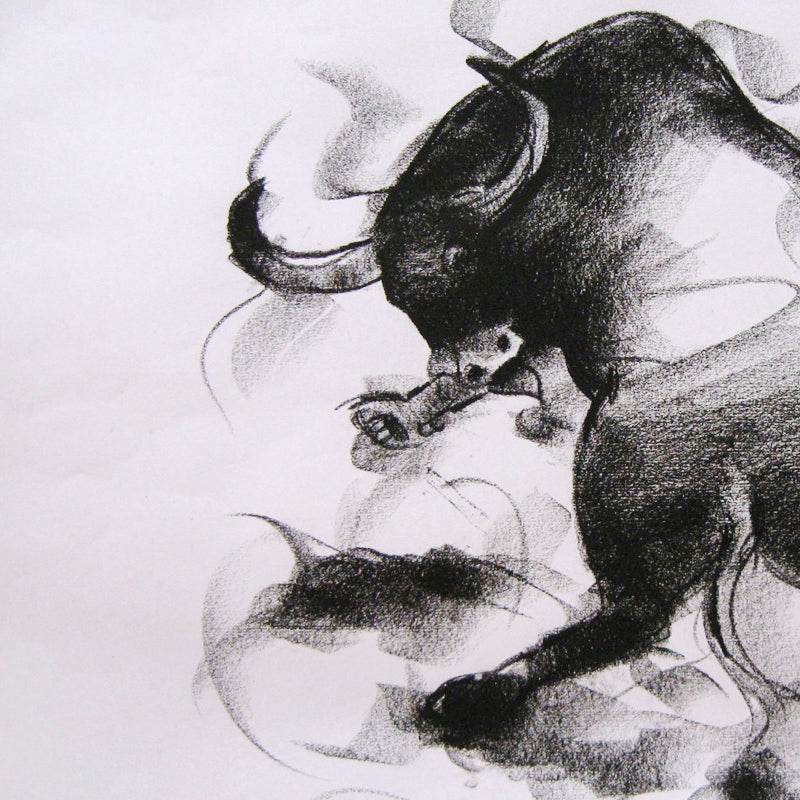 Bull Drawing-006