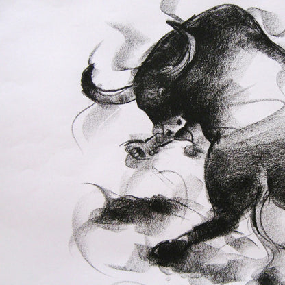 Bull Drawing-006