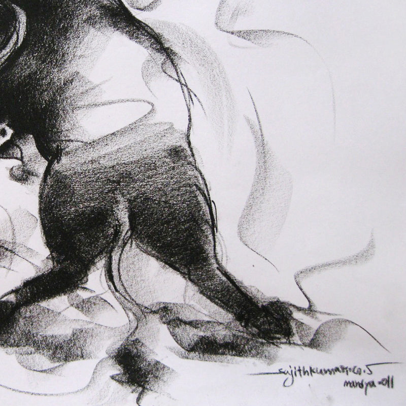 Bull Drawing-006