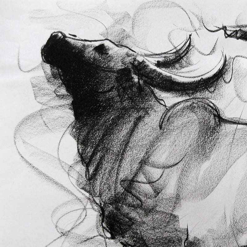 Bull Drawing-008 - SUJITH KUMAR GS MANDYA Art Studio Gallery (SKGSM Art Studio Gallery)
