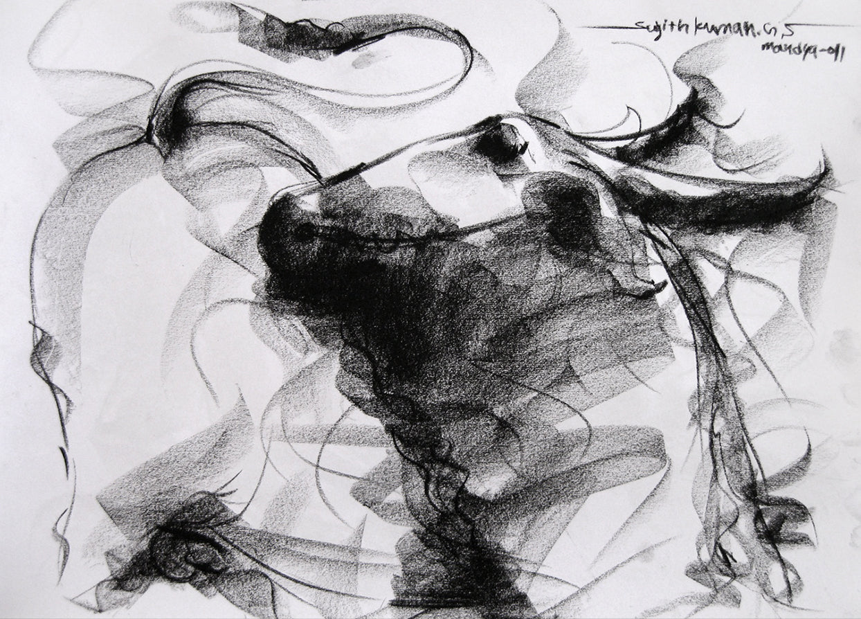 Bull Drawing-014