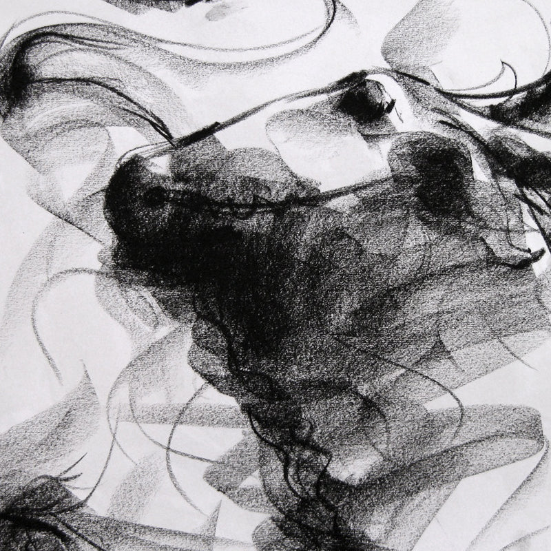 Bull Drawing-014