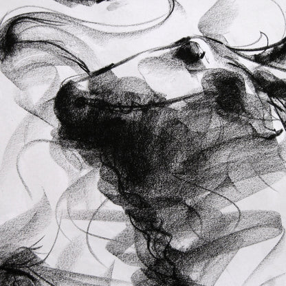 Bull Drawing-014