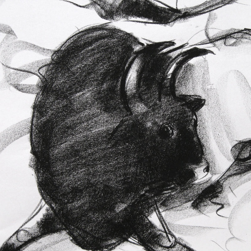 Bull Drawing-017 - SUJITH KUMAR GS MANDYA Art Studio Gallery (SKGSM Art Studio Gallery)