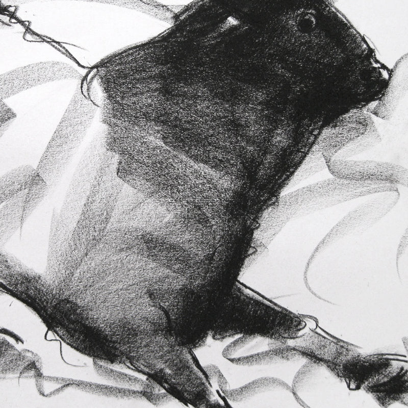 Bull Drawing-018 - SUJITH KUMAR GS MANDYA Art Studio Gallery (SKGSM Art Studio Gallery)