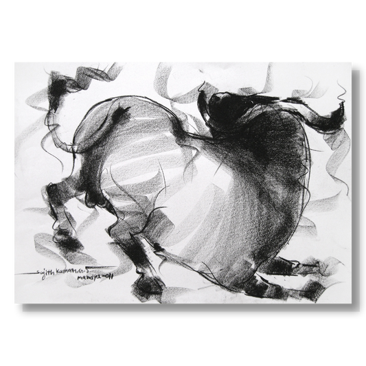 Bull Drawing-019