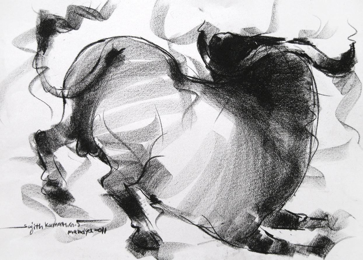 Bull Drawing-019