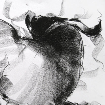 Bull Drawing-019