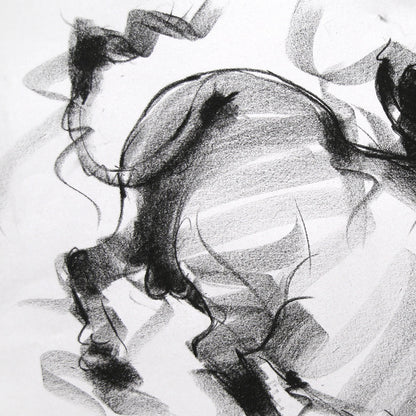 Bull Drawing-019