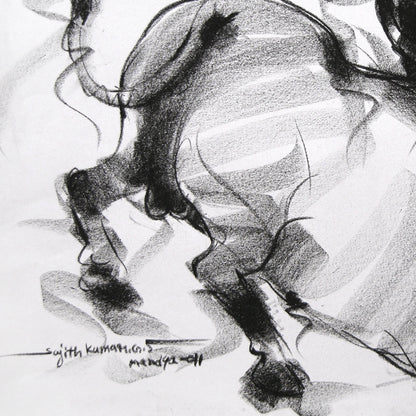Bull Drawing-019