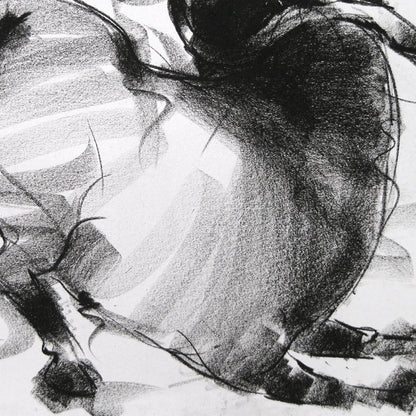 Bull Drawing-019
