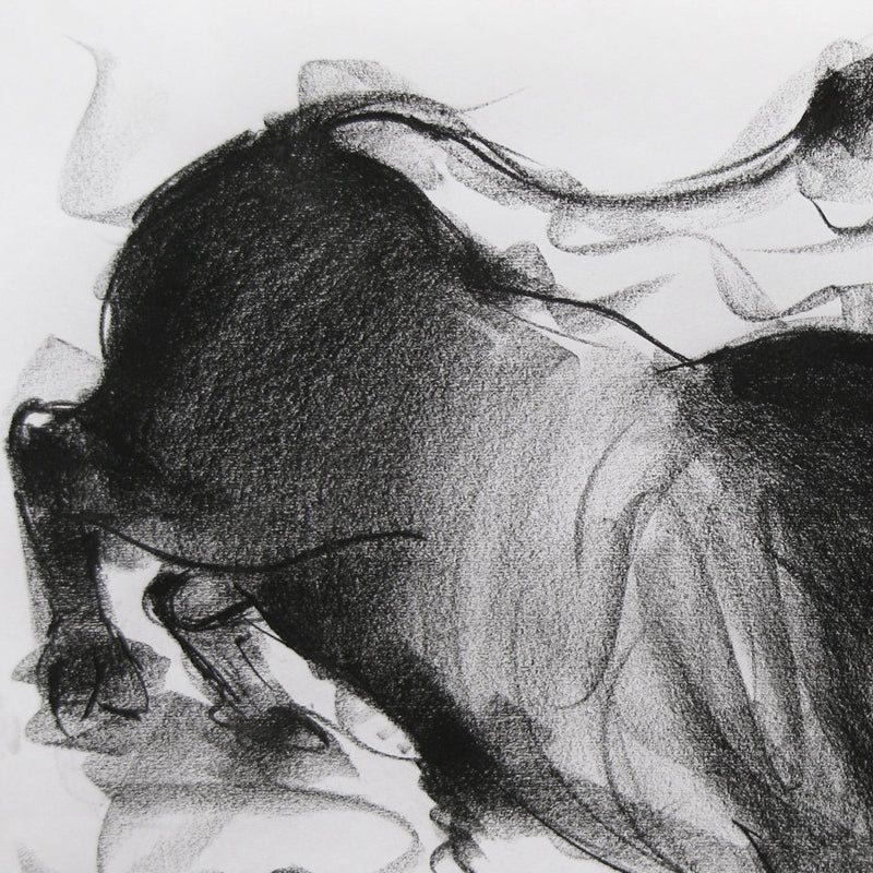 Bull Drawing-024 - SUJITH KUMAR GS MANDYA Art Studio Gallery (SKGSM Art Studio Gallery)