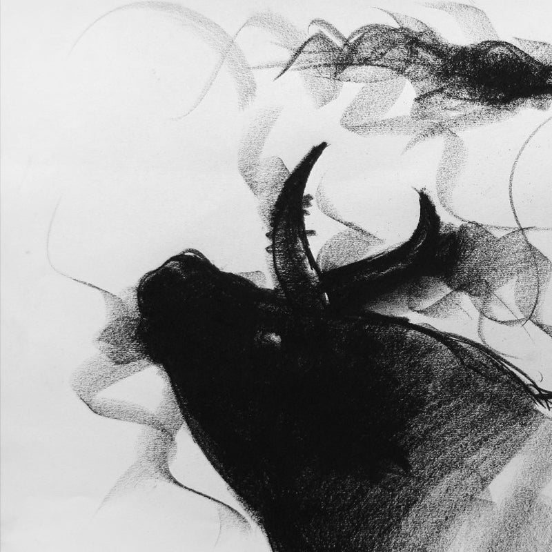 Bull Drawing-027 - SUJITH KUMAR GS MANDYA Art Studio Gallery (SKGSM Art Studio Gallery)