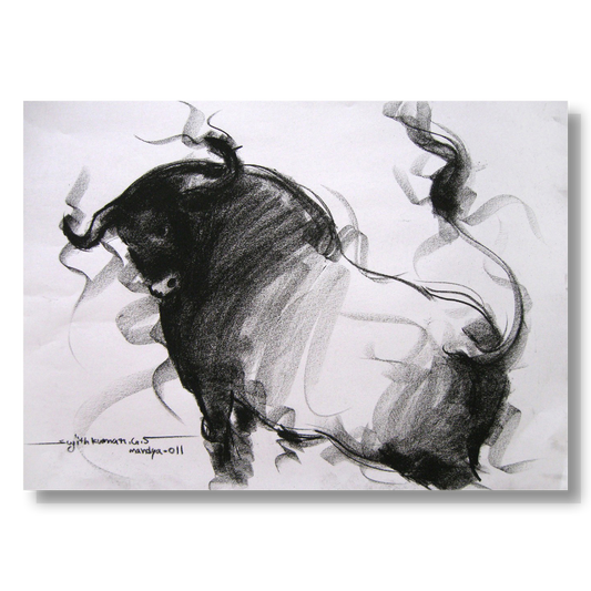 Bull Drawing-002