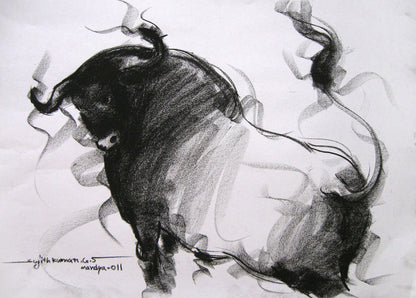 Bull Drawing-002