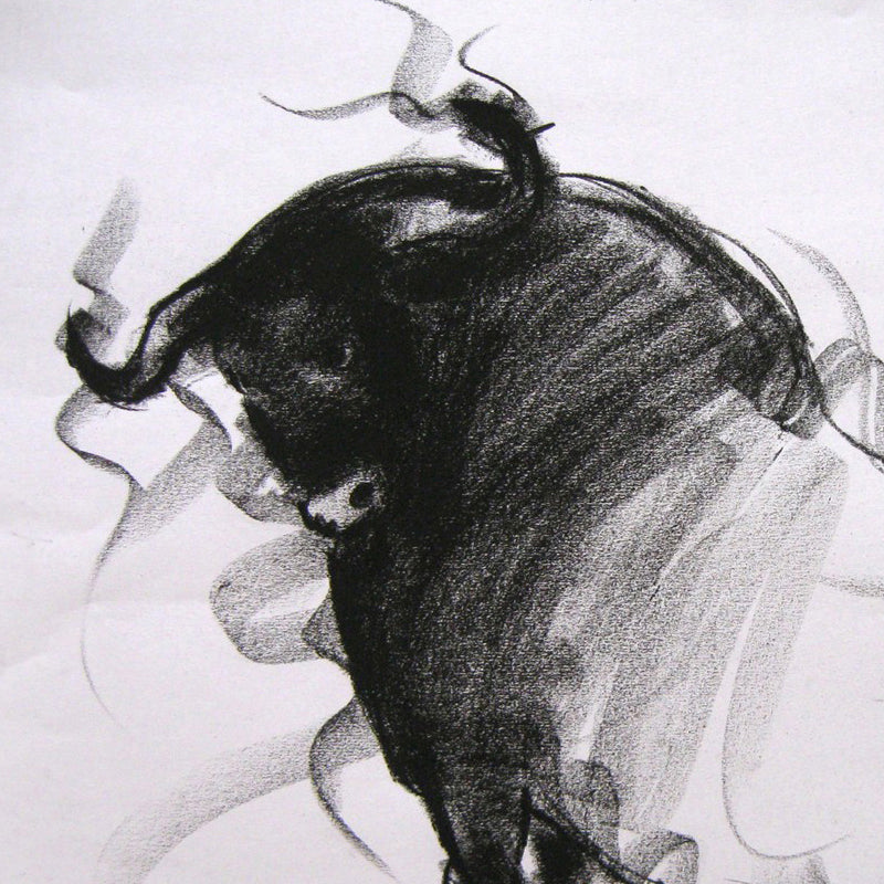 Bull Drawing-002