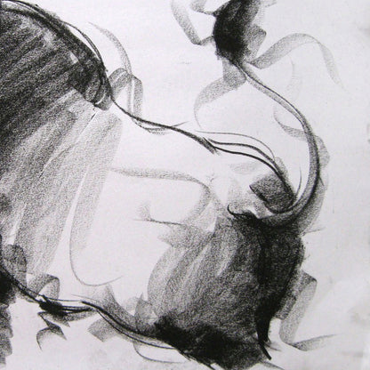 Bull Drawing-002