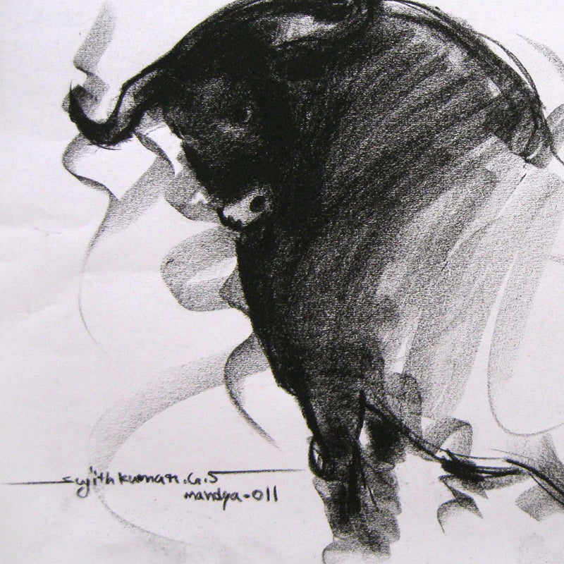 Bull Drawing-002