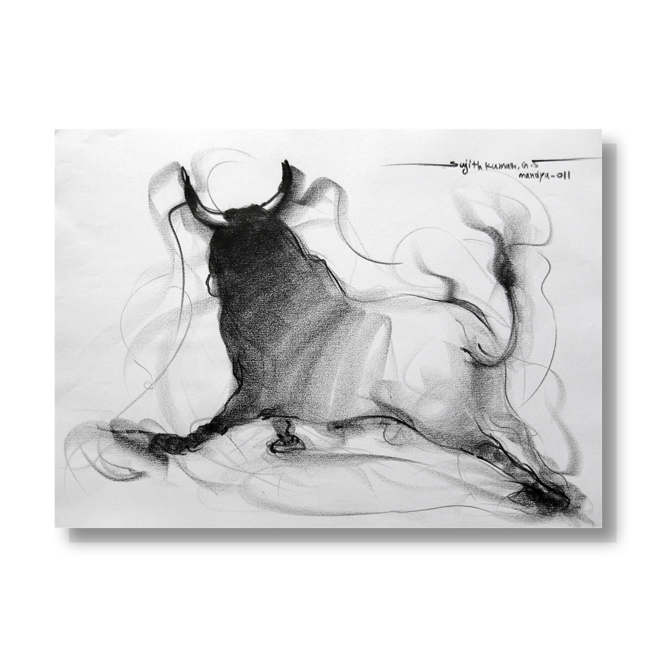 Bull Drawing-030