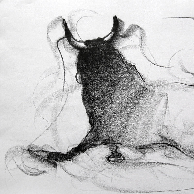 Bull Drawing-030