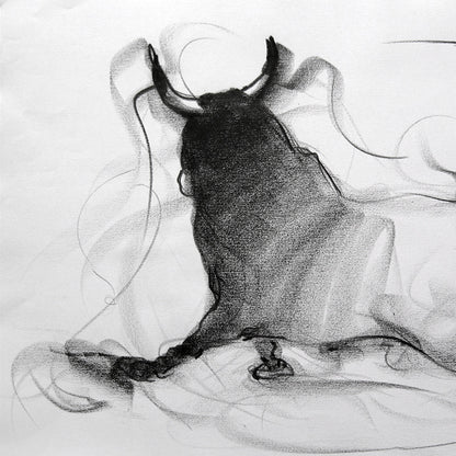Bull Drawing-030