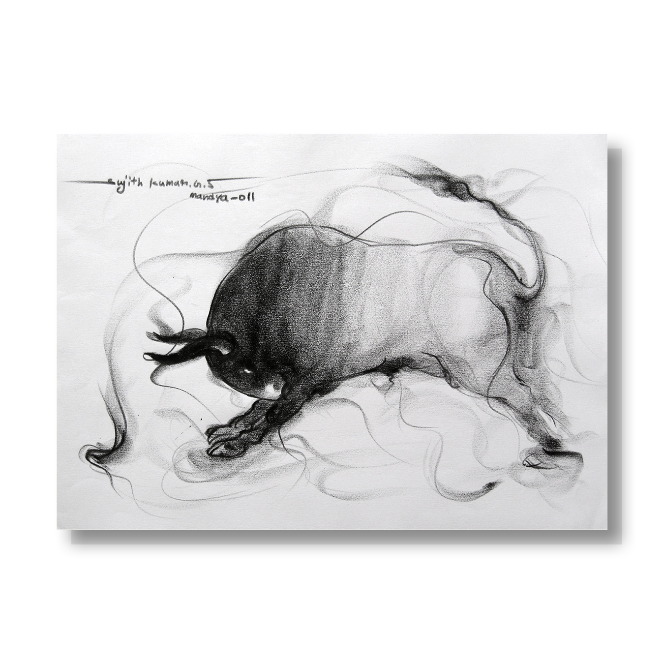 Bull Drawing-031