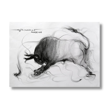 Bull Drawing-031
