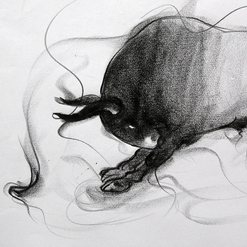 Bull Drawing-031