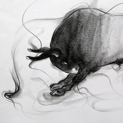 Bull Drawing-031