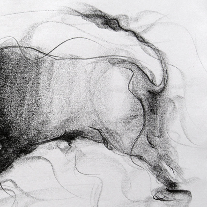 Bull Drawing-031