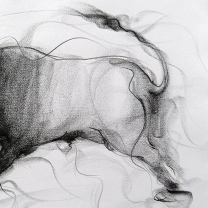 Bull Drawing-031