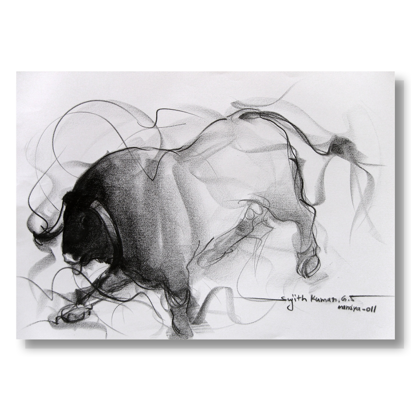 Bull Drawing-033 - SUJITH KUMAR GS MANDYA Art Studio Gallery (SKGSM Art Studio Gallery)