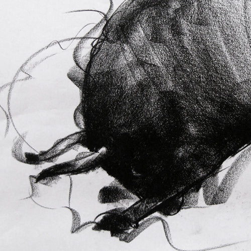Bull Drawing-036 - SUJITH KUMAR GS MANDYA Art Studio Gallery (SKGSM Art Studio Gallery)