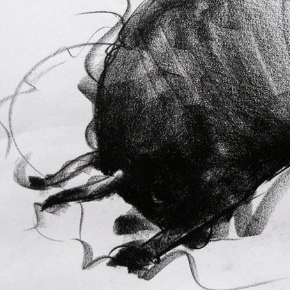 Bull Drawing-036 - SUJITH KUMAR GS MANDYA Art Studio Gallery (SKGSM Art Studio Gallery)