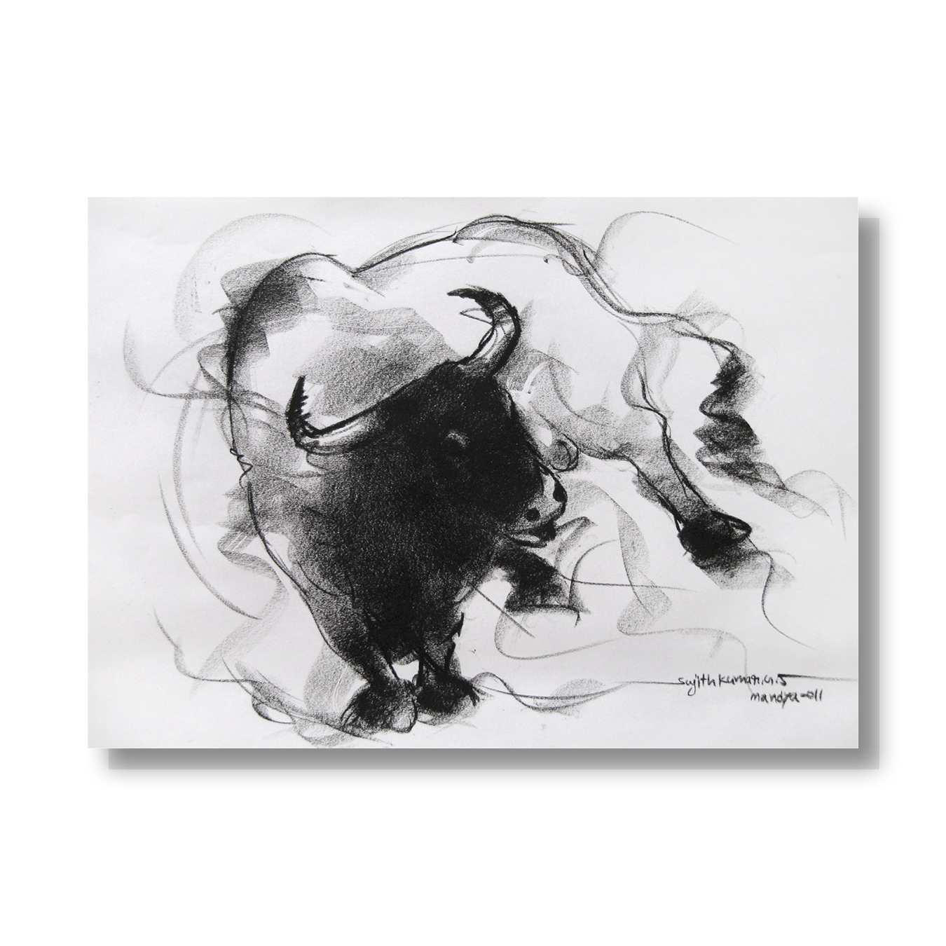 Bull Drawing-038