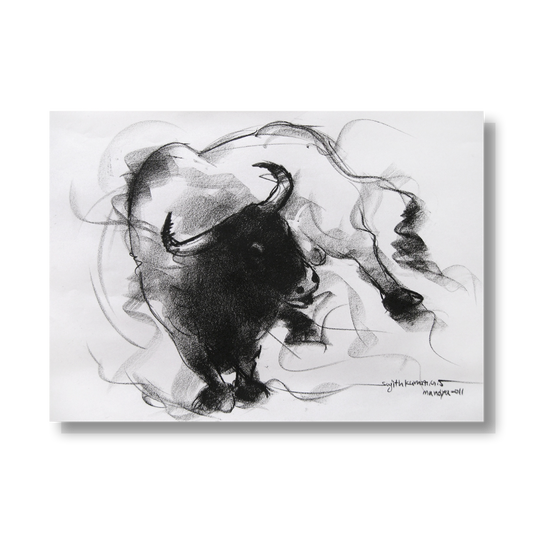 Bull Drawing-038