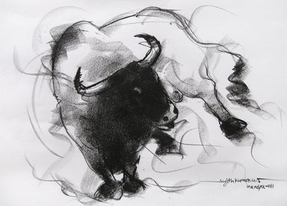 Bull Drawing-038