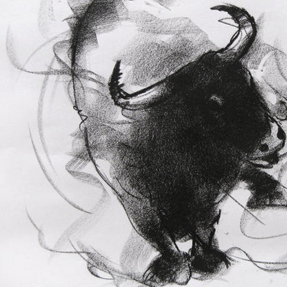 Bull Drawing-038