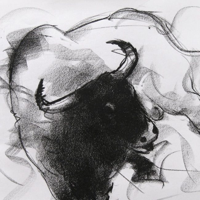 Bull Drawing-038