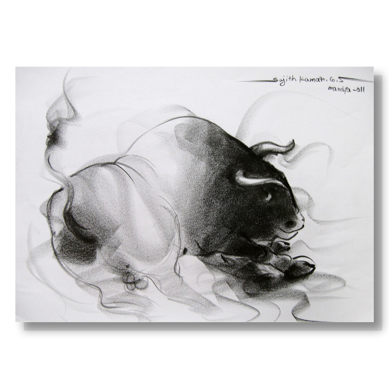 Bull Drawing-039