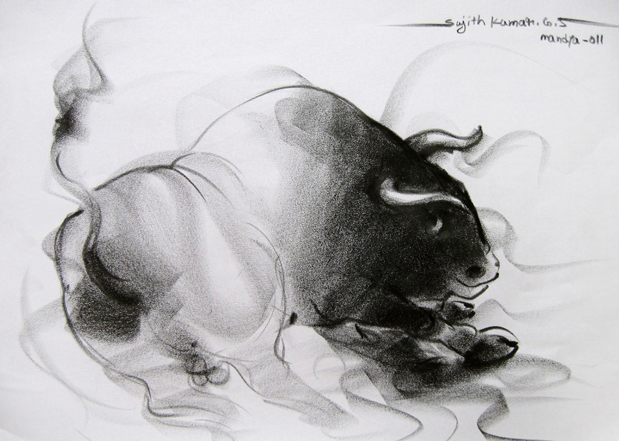 Bull Drawing-039