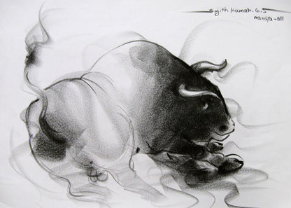 Bull Drawing-039