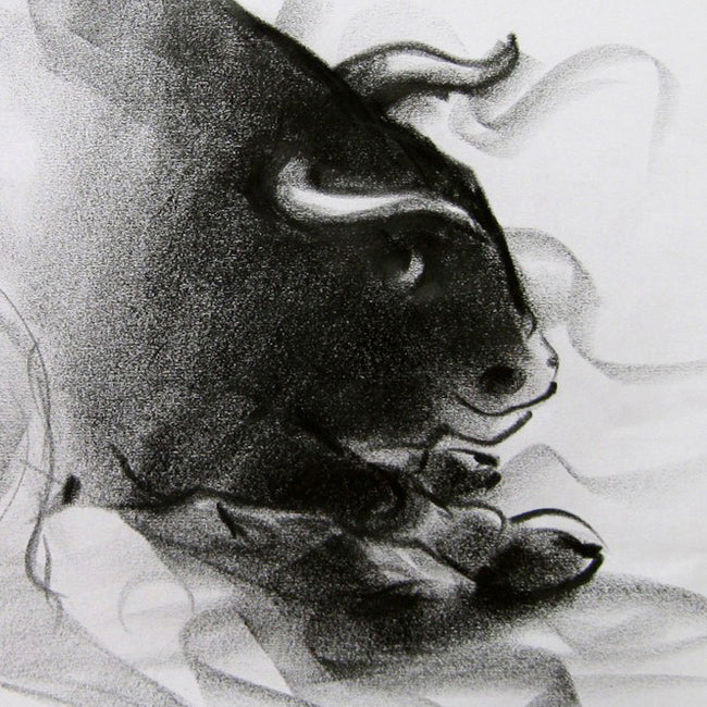 Bull Drawing-039