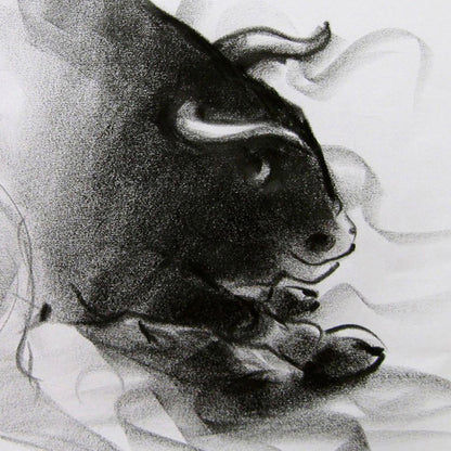 Bull Drawing-039