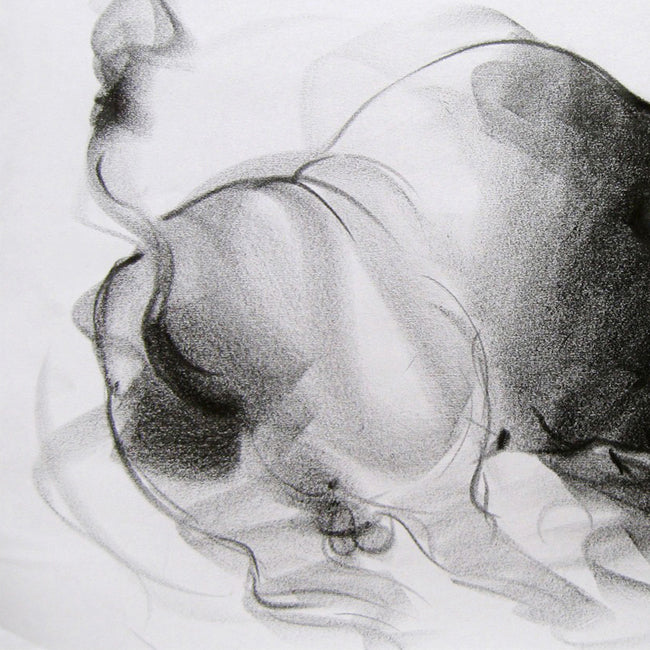 Bull Drawing-039