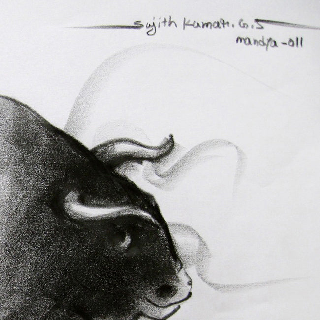 Bull Drawing-039