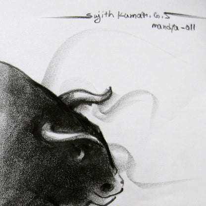 Bull Drawing-039
