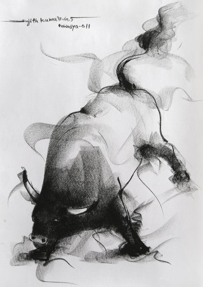 Bull Drawing-046